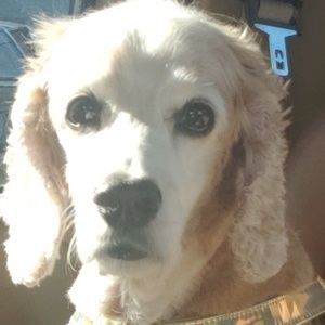 Meet your Posher, Hope